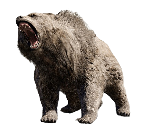 Beruang Kuma Tekken PNG Foto