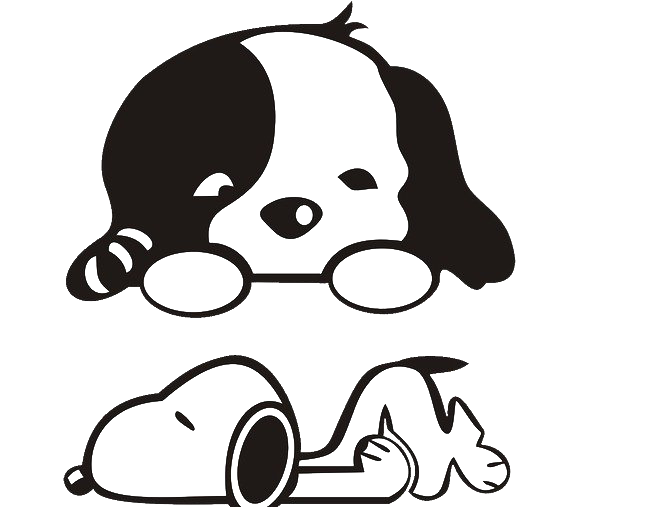 Черно-белый щенок PNG Pic