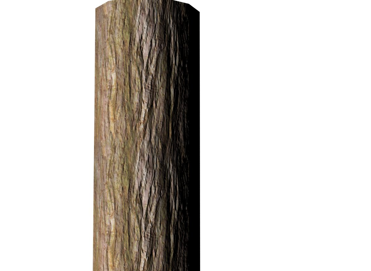 Imagem de tronco de tronco de árvore de ramo