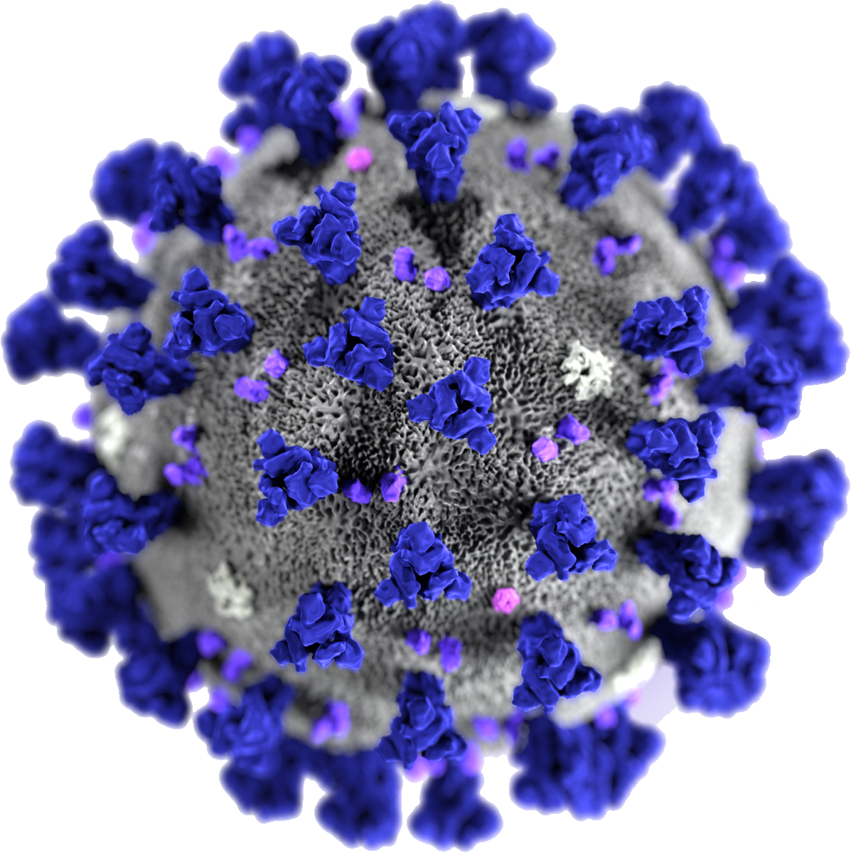 Covid-19 Imagem de vírus PNG