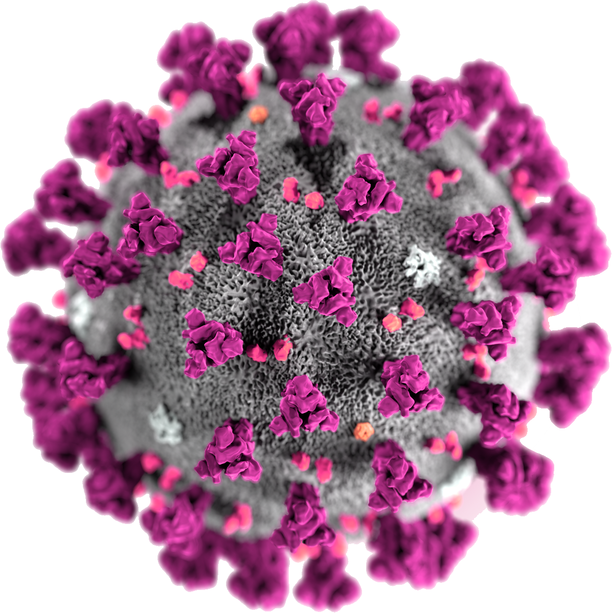 Covid-19 vírus PNG fotos