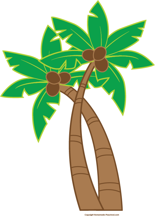 Coconut Tree Hawaiian Luau PNG Image