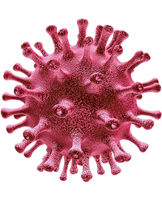 Doença coronavírus PNG clipart