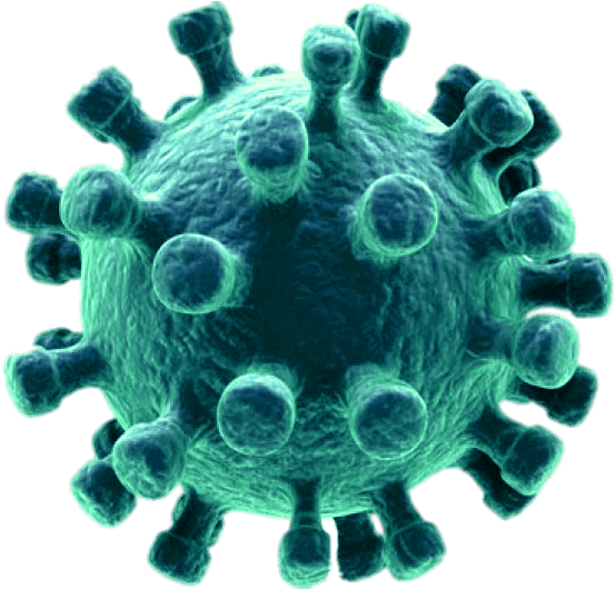 Coronavirus Disease PNG Image