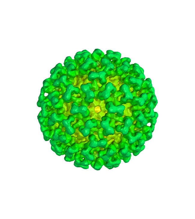 Imagem de PNG da doença de coronavírus
