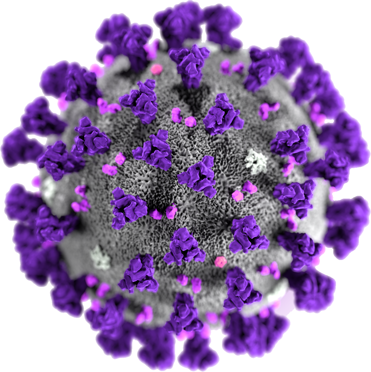 Coronavirus Disease Transparent PNG