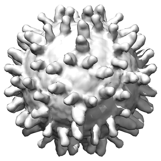 Coronavirus PNG Download grátis