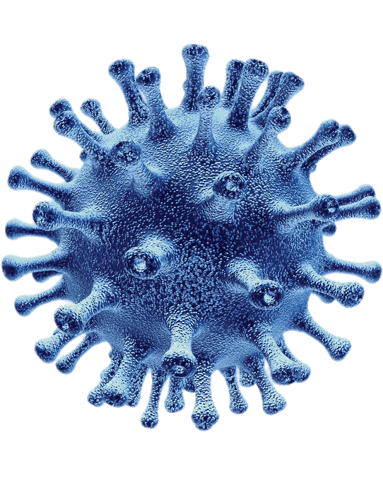 Coronavirus PNG прозрачный HD фото