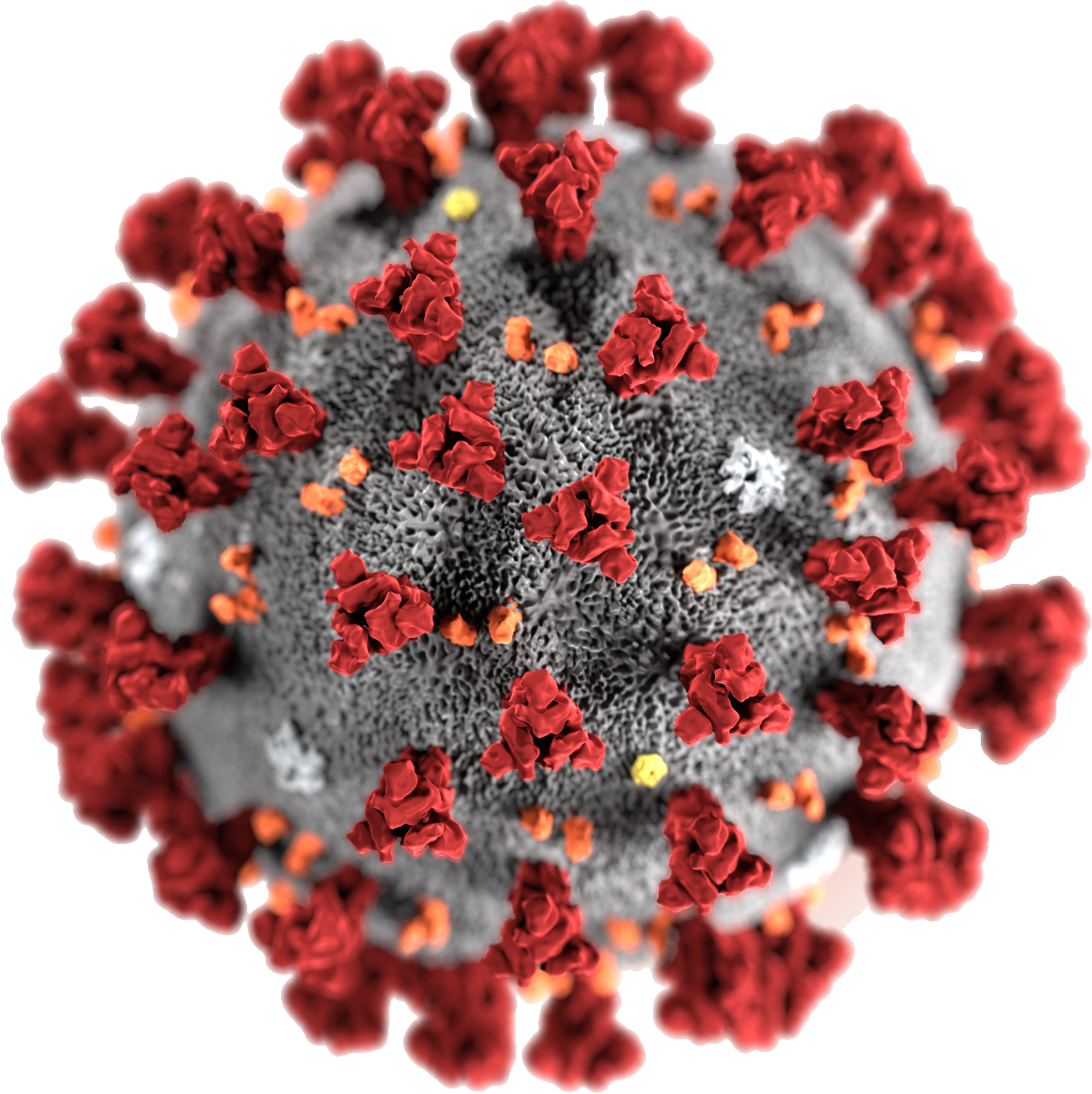 Coronavirus PNG прозрачный