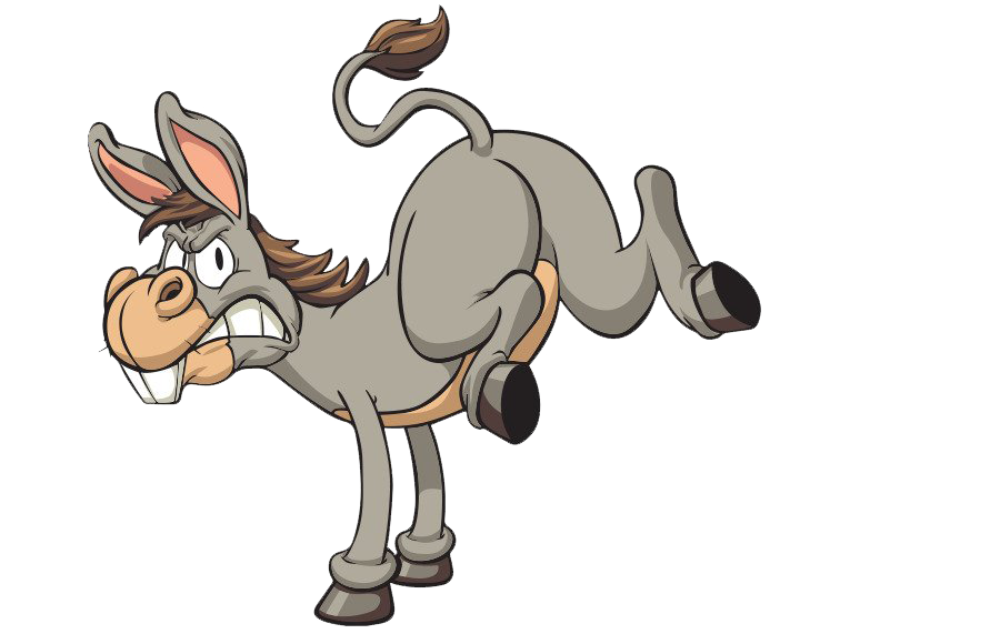 Donkey PNG Picture