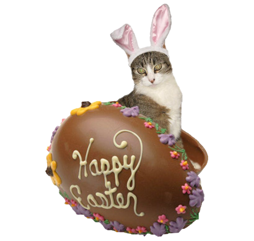 Easter Bunny Chocolate PNG Free Download