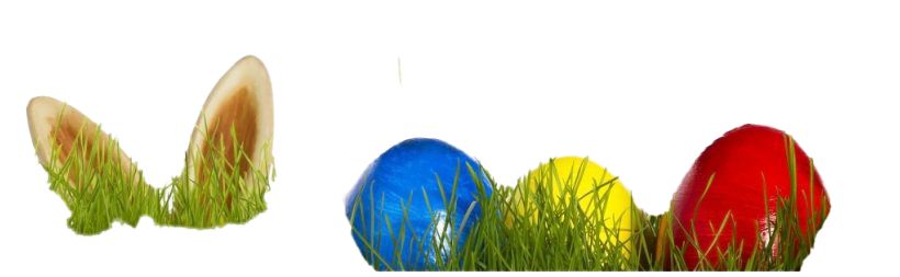 Easter Egg Grass PNG Free Download