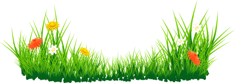 Easter Egg Grass PNG Image