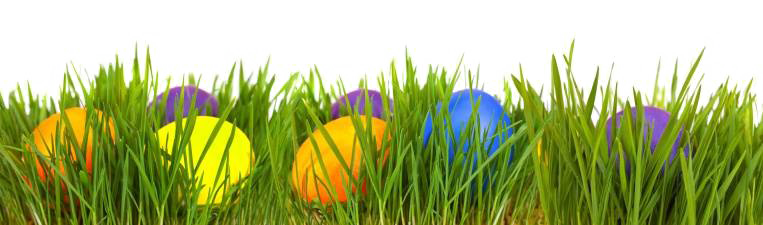 Easter Egg Grass PNG Transparent