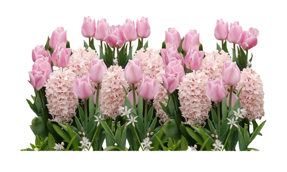 Fichier PNG de fleurs de Pâques