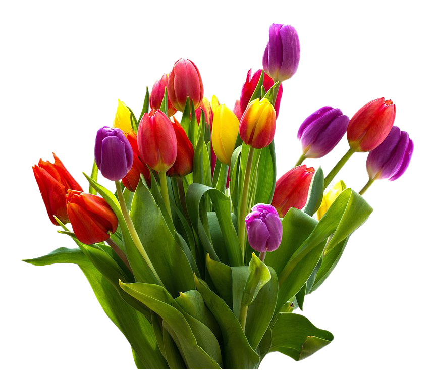 Easter Flower PNG HD