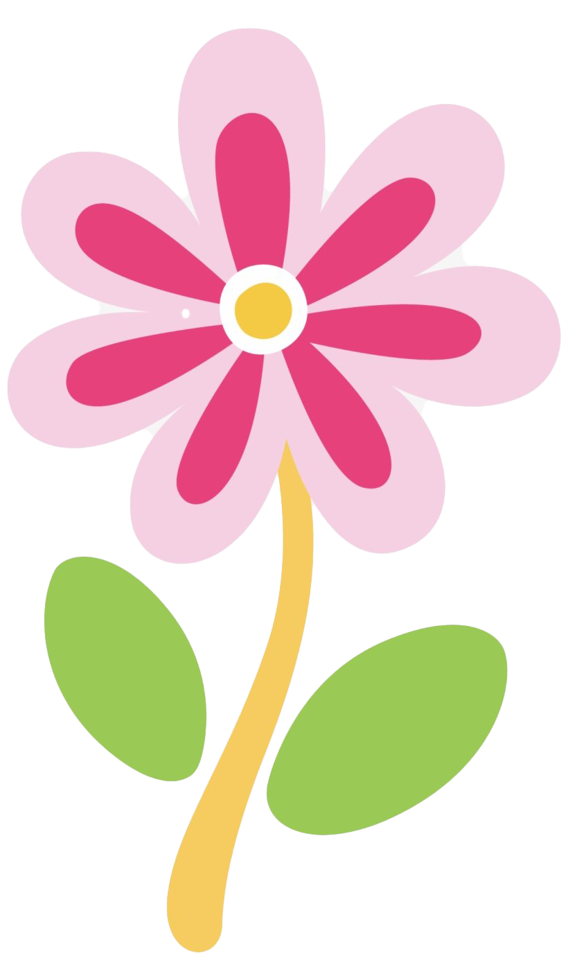 Imagen PNG de la flor de Pascua