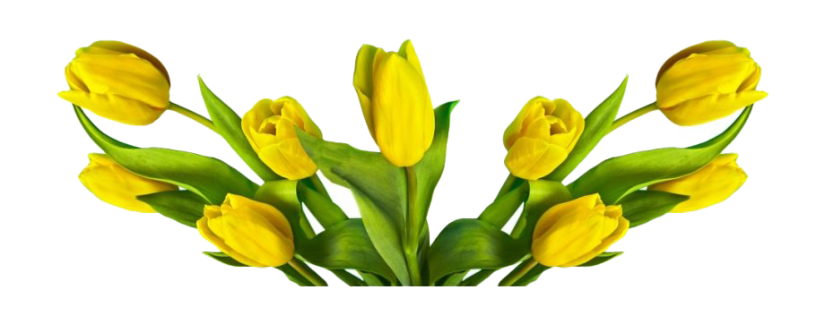 Fleur de Pâques Transparent PNG
