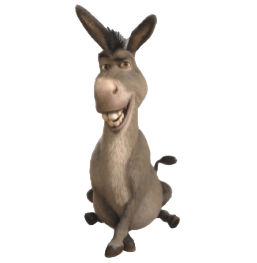 Funny Donkey PNG Image