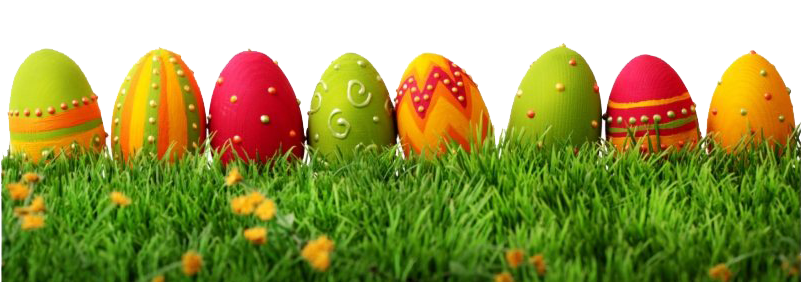 Grass Easter Egg PNG Image