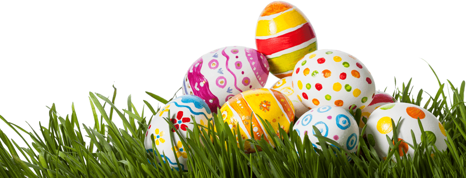 Grass Easter Egg PNG Photo