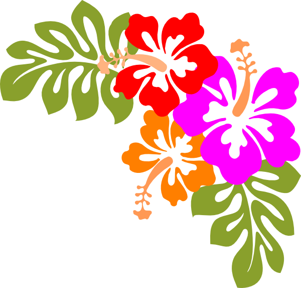 Hawaiian Luau Aloha Flower PNG HD