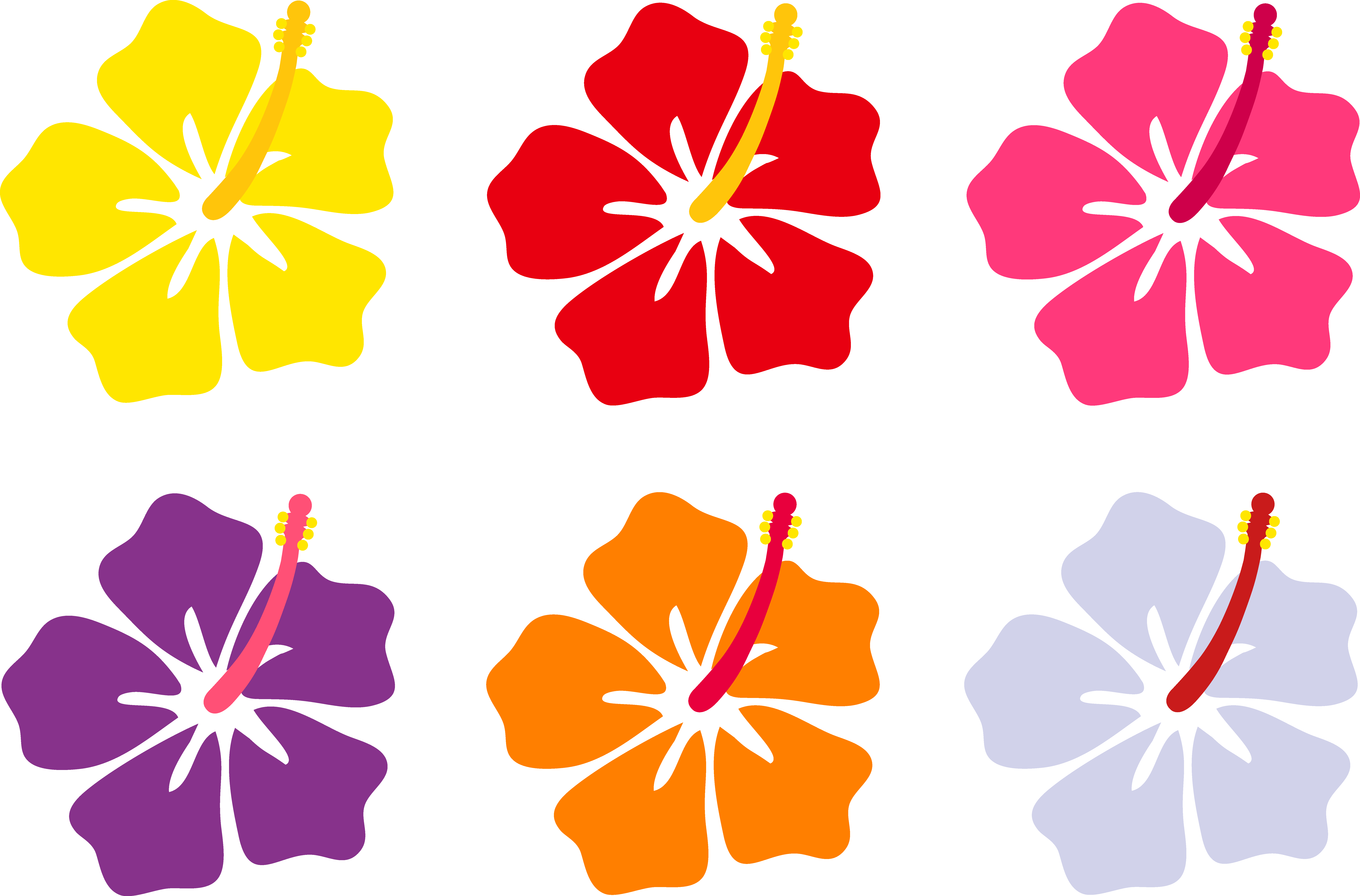 Hawaiian Luau Aloha Flower PNG Image