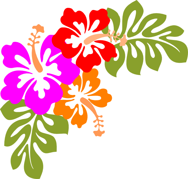 Hawaiianische Luau Aloha-Blume PNG-Fotos