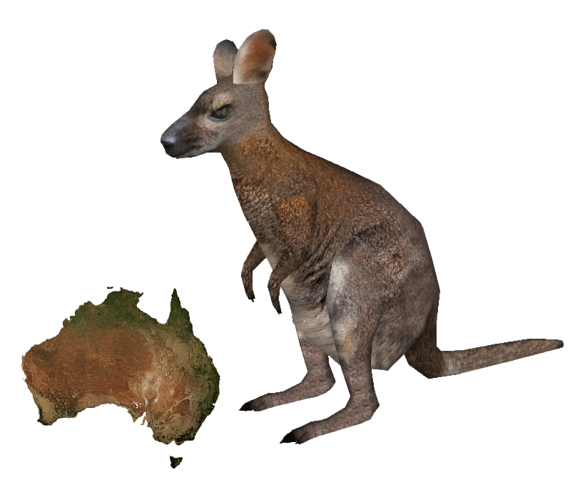 Kangaroo Wallaby PNG-Datei