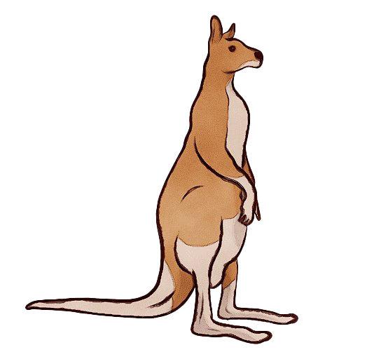 Kangaroo Wallaby PNG Unduh Gratis