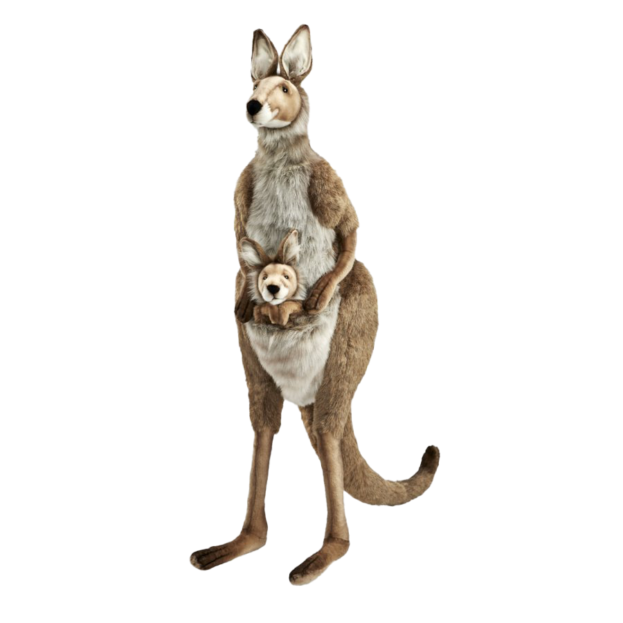 Kangaroo Wallaby PNG картина