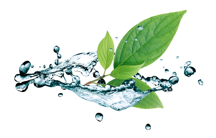Leaf Water Drop PNG Picture