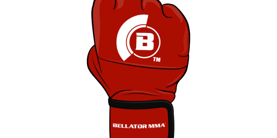MMA Gloves PNG Transparent Image