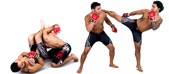 MMA Grappling PNG-Fotos