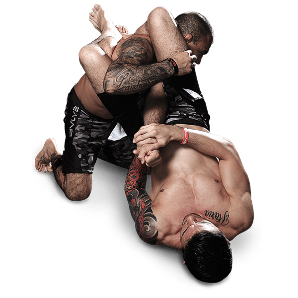 Pic PNG MMA