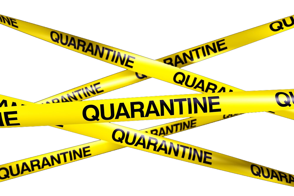 Quarantine PNG descarga gratuita