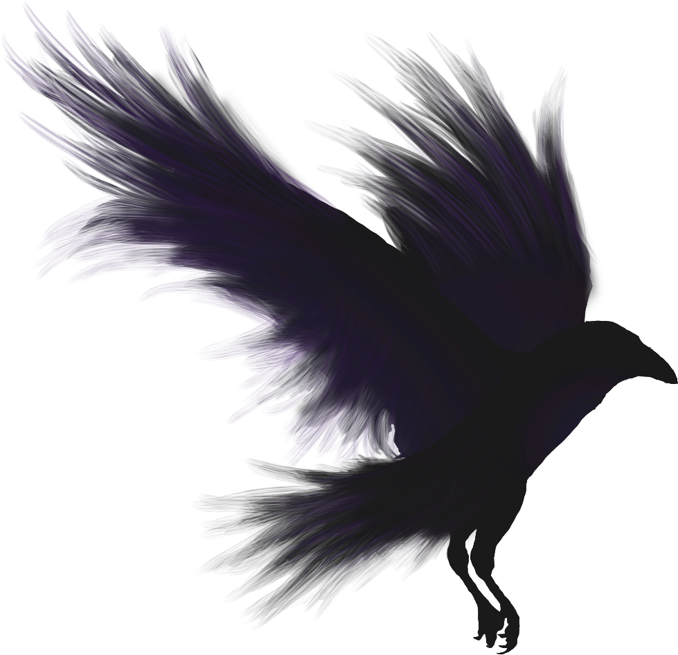 Raven Bird PNG Pic