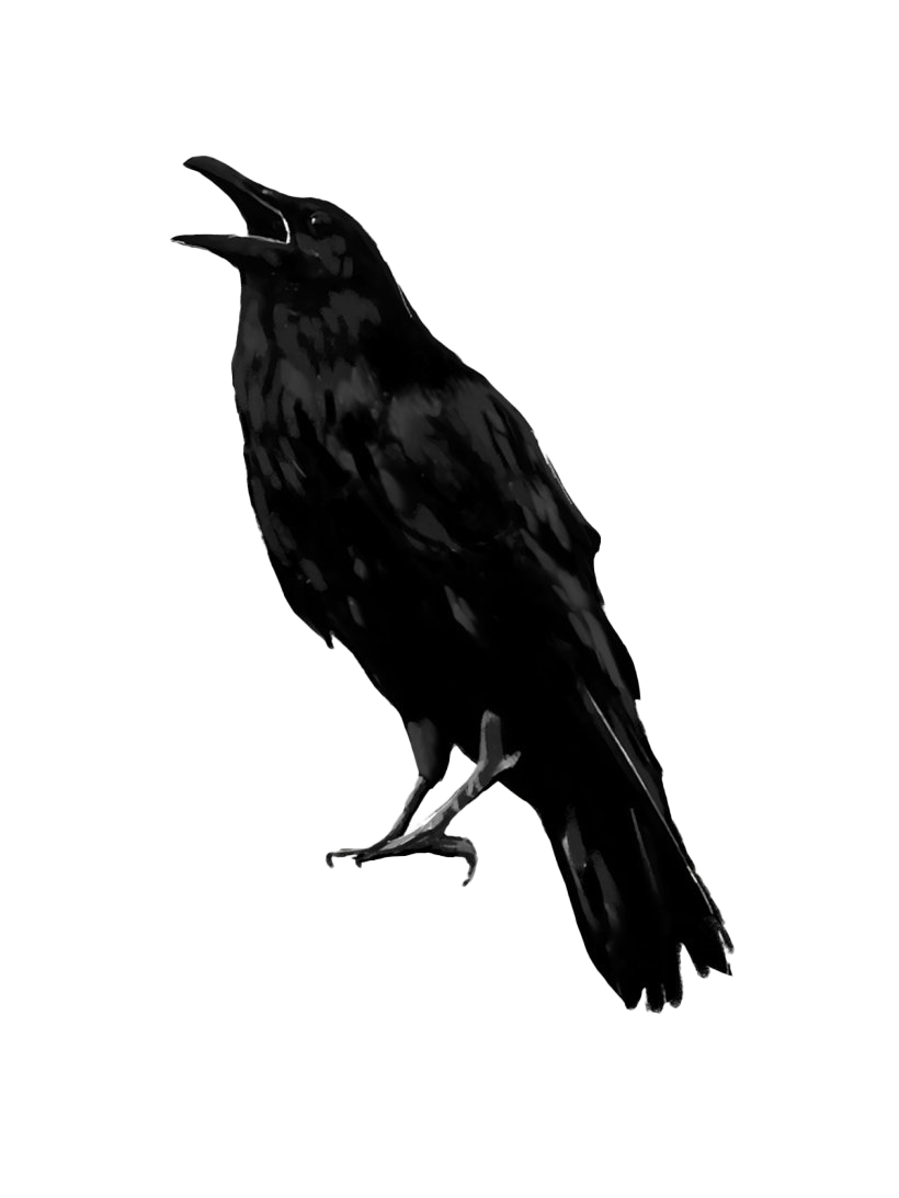 Raven Bird PNG Transparent Image