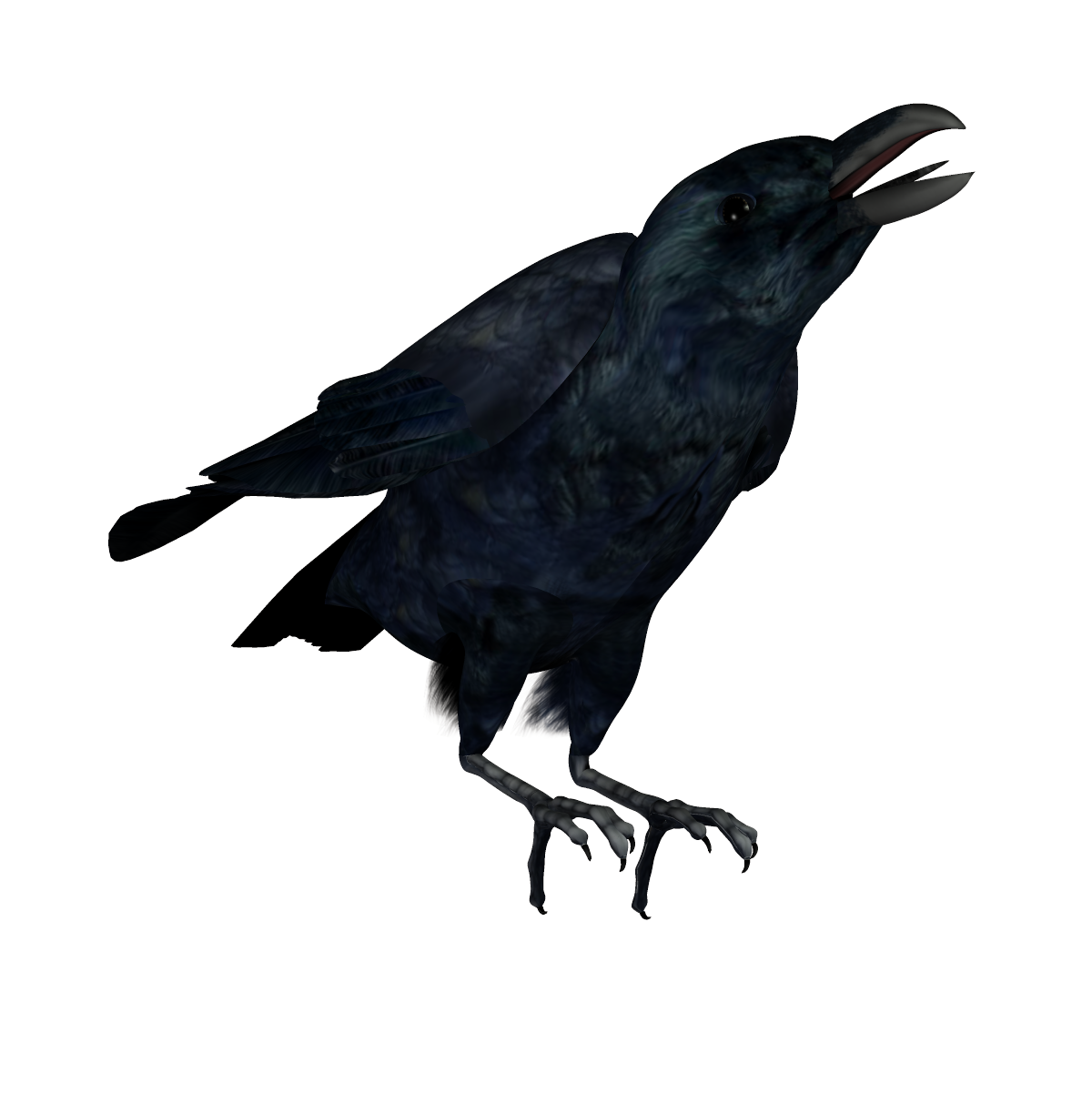 Raven PNG Transparent Picture