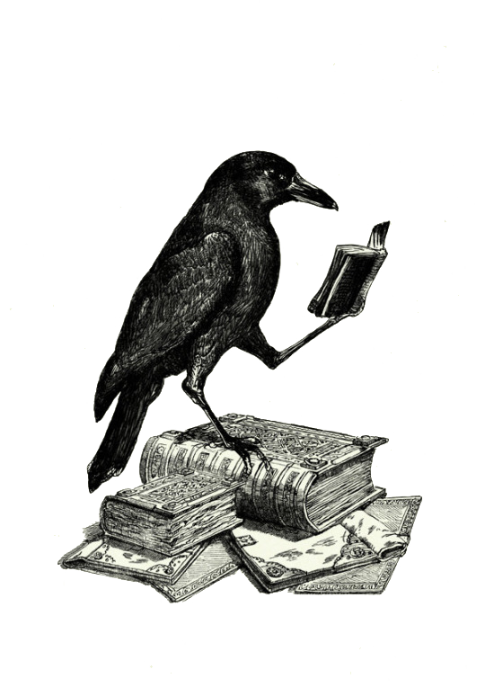Raven PNG Transparent