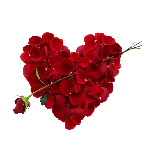 Rose Heart PNG Free Download
