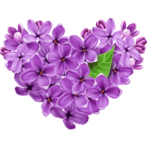 Rose Heart PNG Photo