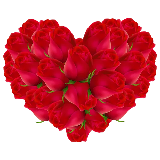 Rosa Heart PNG Pic