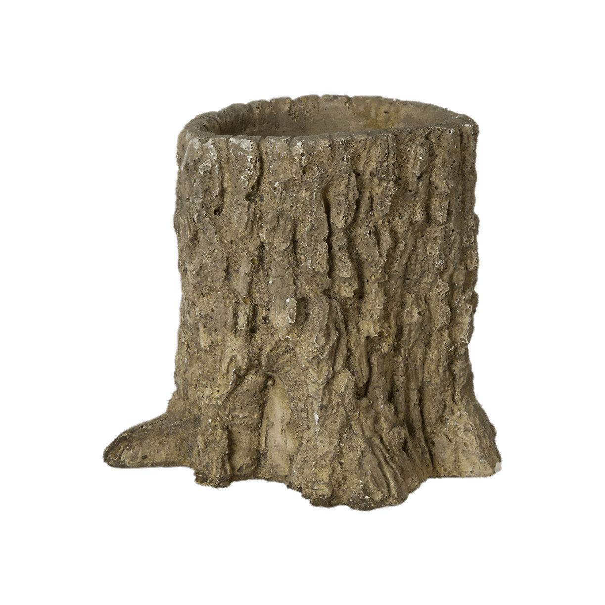 Stump Tree Trunk PNG Clipart