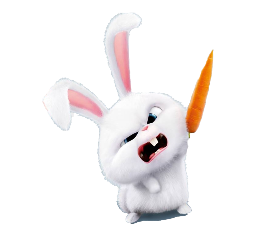 The Secret Life Of Pets PNG Picture