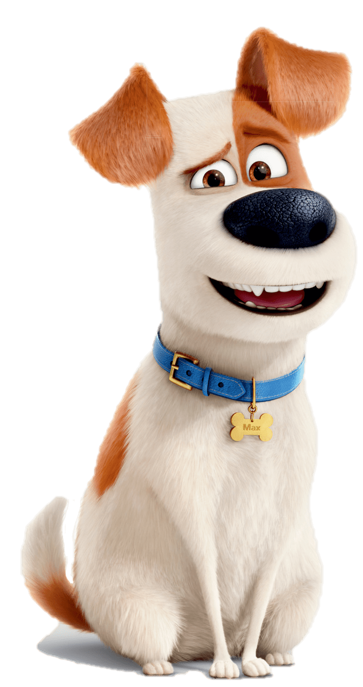 The Secret Life of Pets PNG Pic