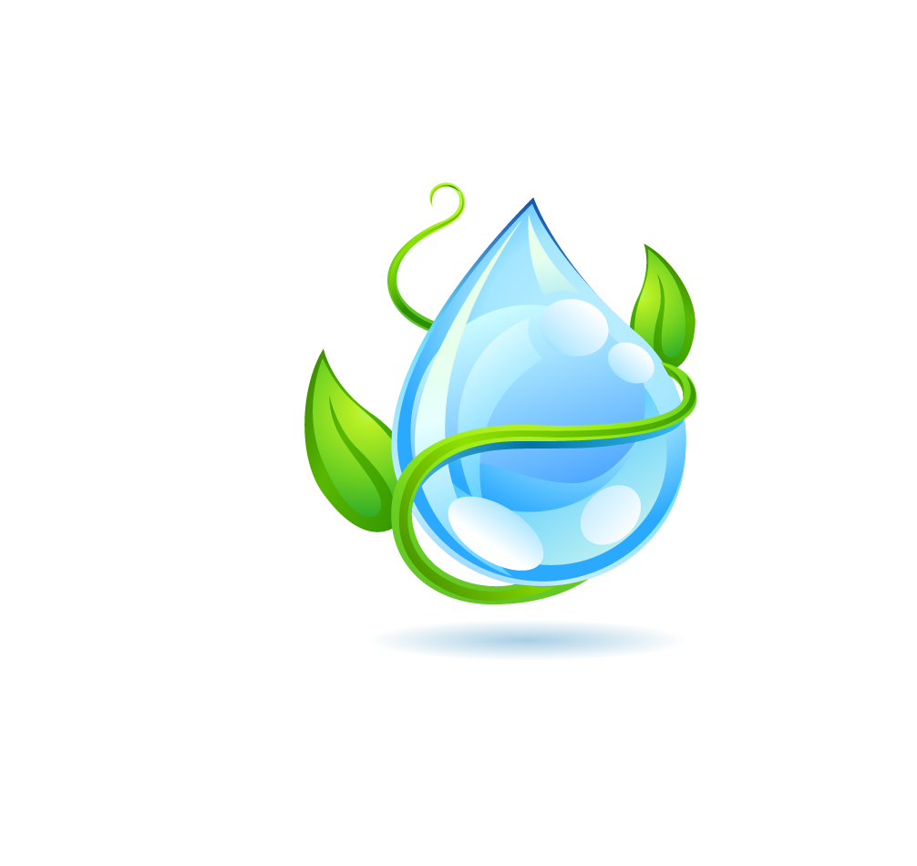 Tree Leaf Water PNG File