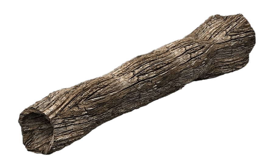 Tree Trunk PNG Free Download