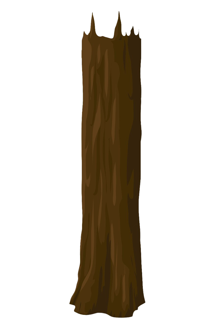 Tree Trunk PNG Picture