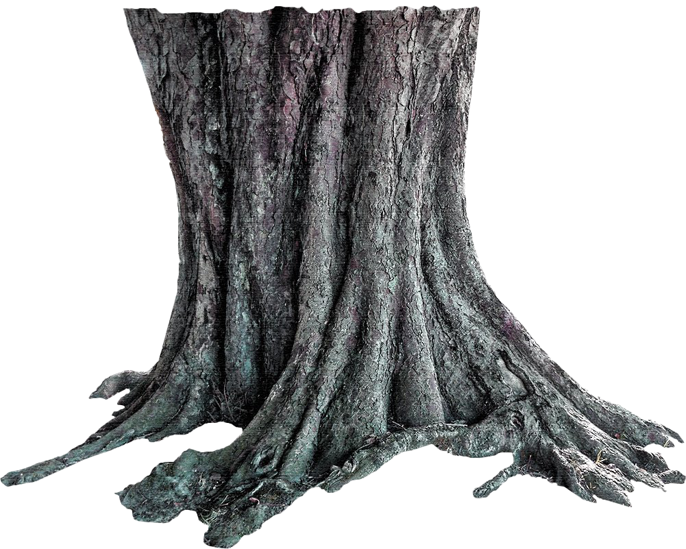 Tree Trunk PNG Transparent HD Photo